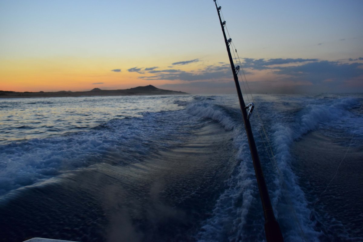 Cabo Sport Fishing Morning - Welcome Cabo Vacation Rentals