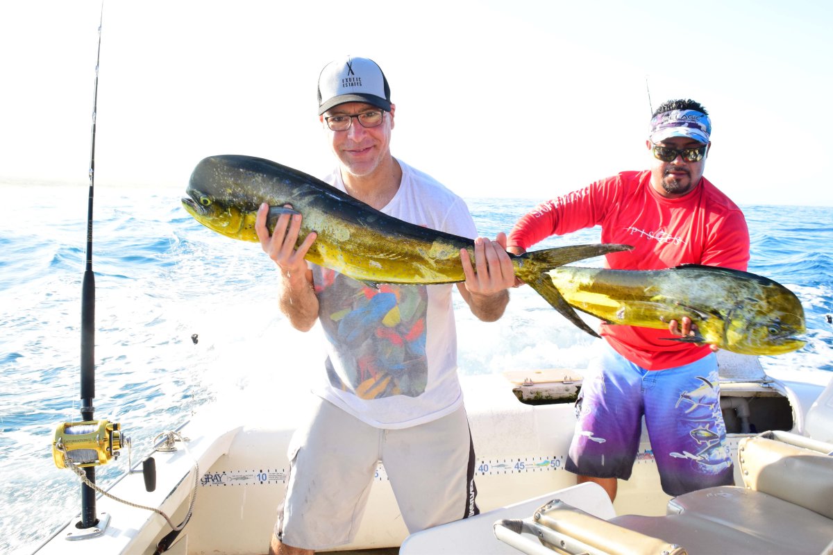 Cabo San Lucas Sport Fishing - Caught Fish