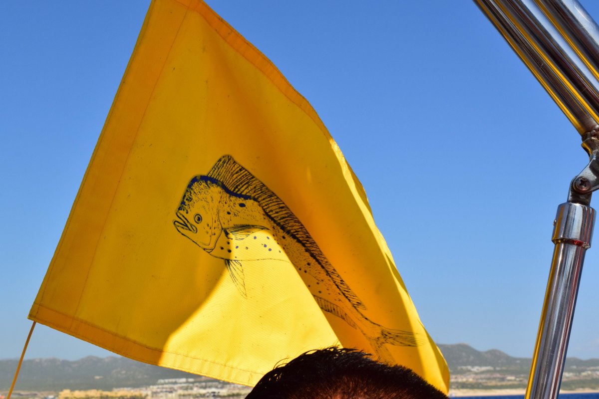 Cabo San Lucas Sport Fishing Mahi Mahi Flag - Welcome Cabo Vacation Rentals