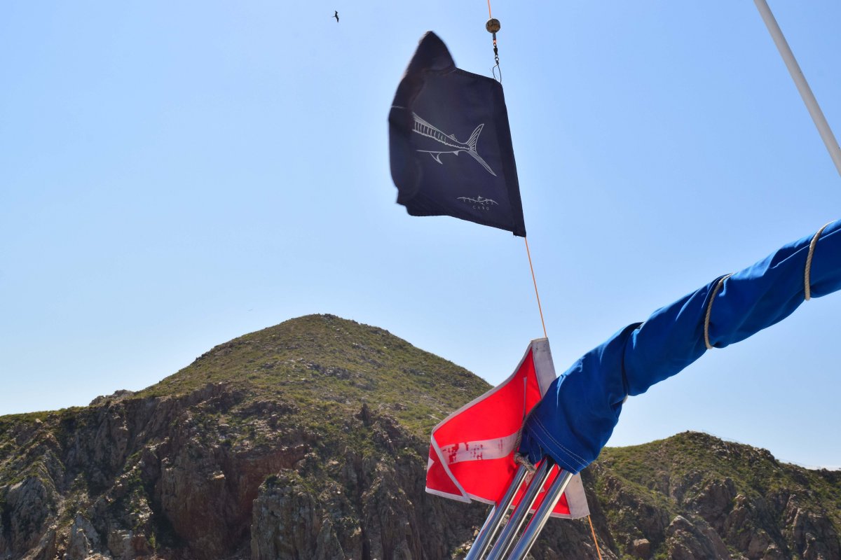 Cabo San Lucas Sport Fishing Flags - Welcome Cabo Vacation Rentals