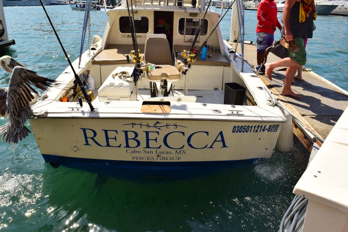 Cabo San Lucas Sport Fishing - Welcome Cabo Vacation Rentals